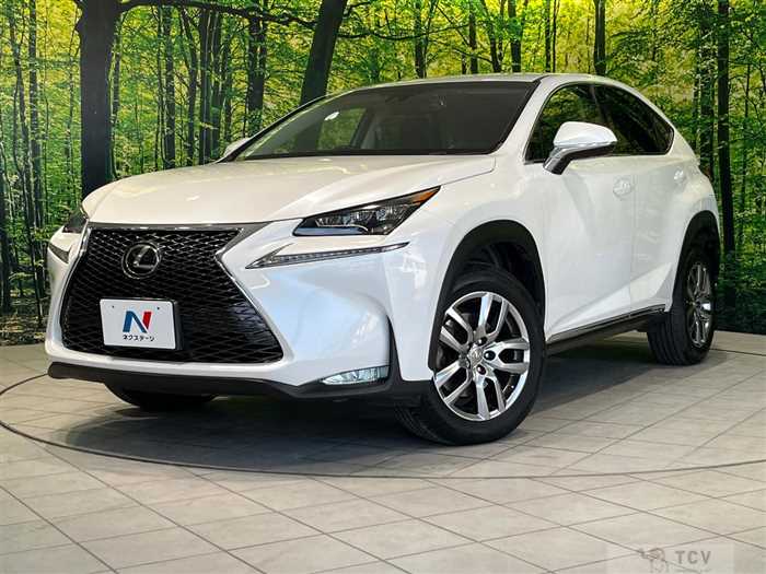 2015 Lexus NX