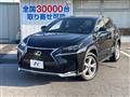 2015 Lexus NX