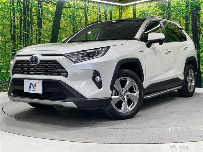 2019 Toyota RAV4