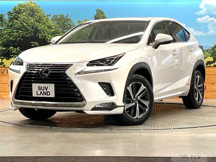 2018 Lexus NX