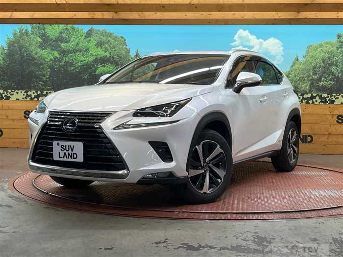 2018 Lexus NX