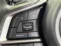 2017 Subaru Subaru Others