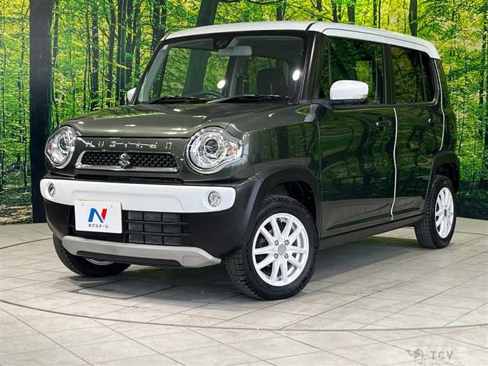 2015 Suzuki Hustler
