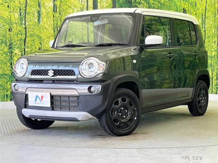 2017 Suzuki Hustler