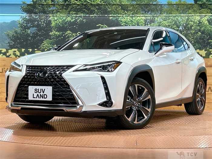2020 Lexus Other