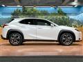 2020 Lexus Other
