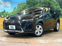 2021 Lexus Other