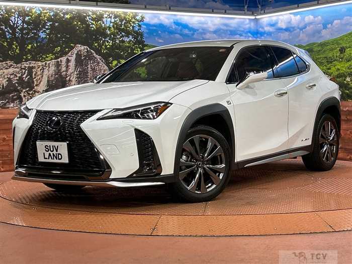 2021 Lexus Other