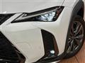 2021 Lexus Other