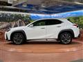 2021 Lexus Other