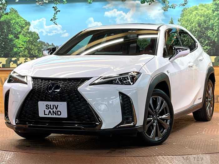 2021 Lexus Other