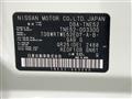 2011 Nissan Elgrand