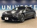 2019 AMG AMG Others