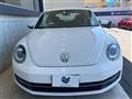 2013 Volkswagen Volkswagen Others