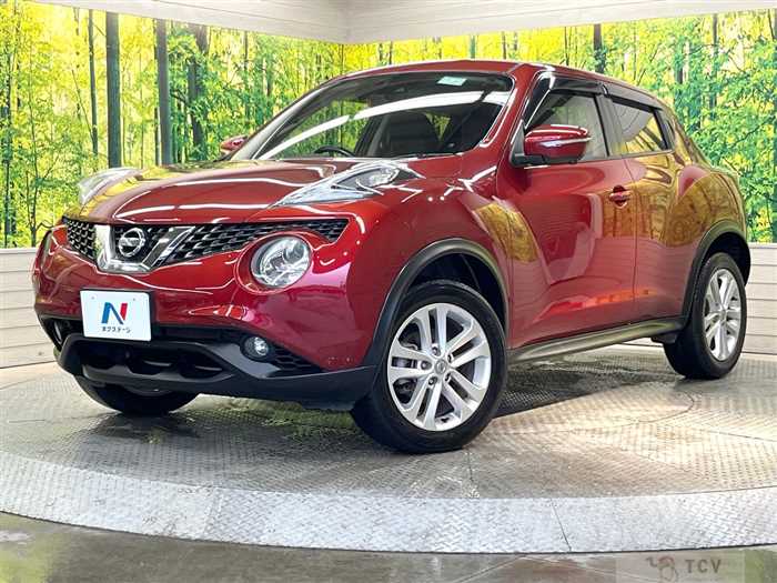 2017 Nissan Juke