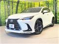 2022 Lexus NX