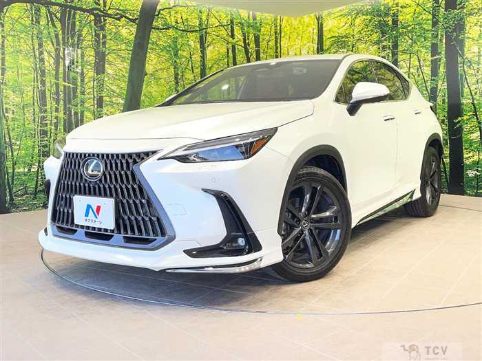 2022 Lexus NX