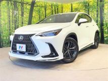 2022 Lexus NX