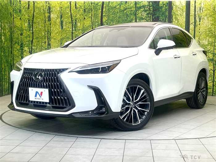2025 Lexus NX
