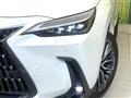 2025 Lexus NX