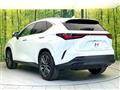2025 Lexus NX