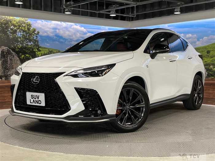 2023 Lexus NX