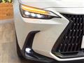 2024 Lexus NX