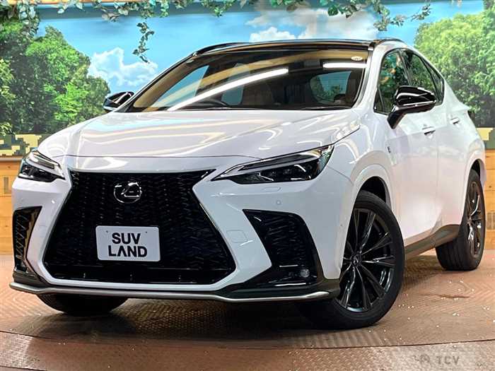 2024 Lexus NX