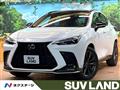 2024 Lexus NX