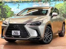 2023 Lexus NX