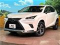2021 Lexus NX