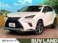 2021 Lexus NX