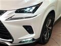 2021 Lexus NX