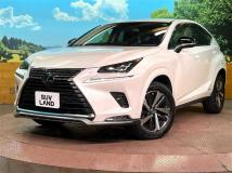 2021 Lexus NX