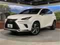 2021 Lexus NX