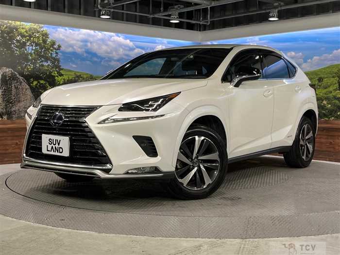 2021 Lexus NX