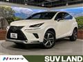 2021 Lexus NX