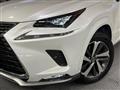 2021 Lexus NX