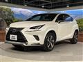 2021 Lexus NX