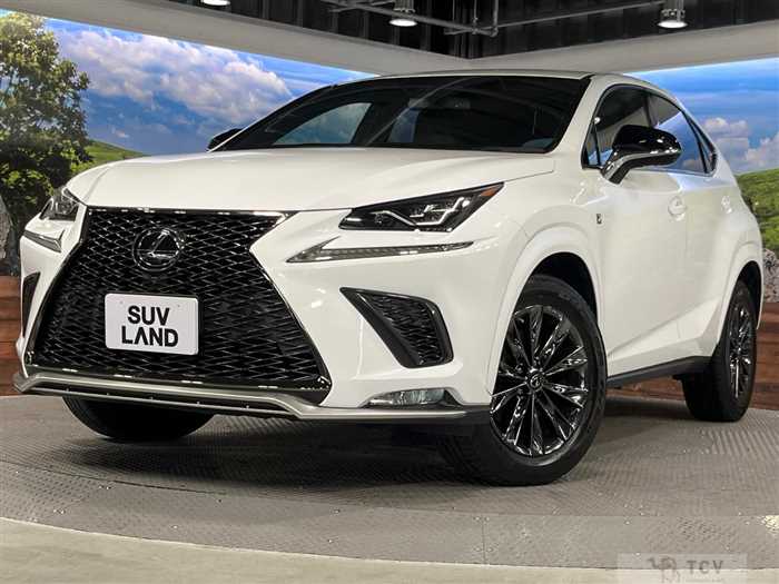 2020 Lexus NX