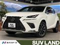 2020 Lexus NX