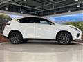 2020 Lexus NX