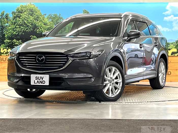 2018 Mazda CX-8
