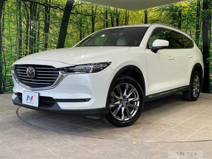 2019 Mazda CX-8