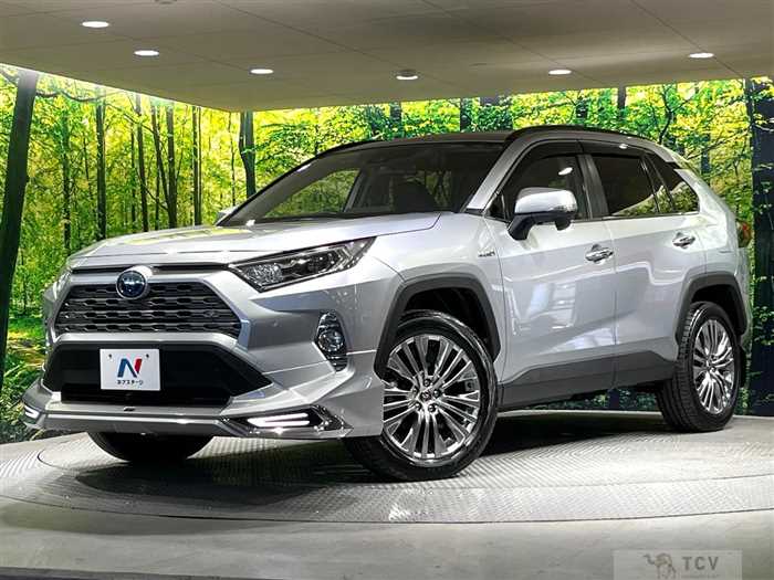 2019 Toyota RAV4