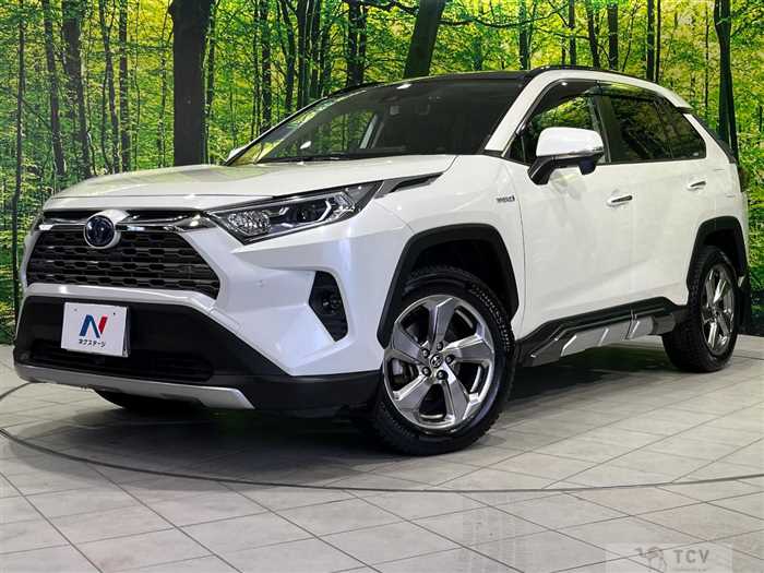 2019 Toyota RAV4