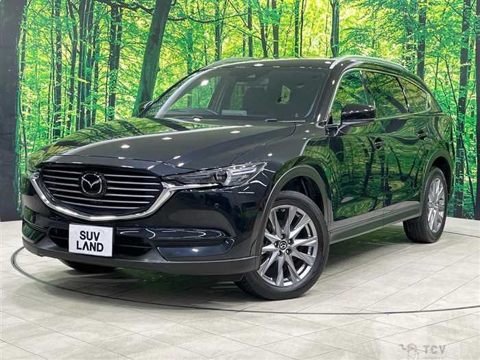 2019 Mazda CX-8