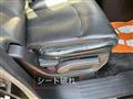 2010 Nissan Elgrand