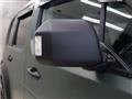 2009 Honda Crossroad