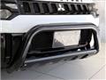 2007 Mitsubishi Delica D5
